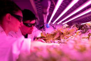 Biotech and Pharma Jobs